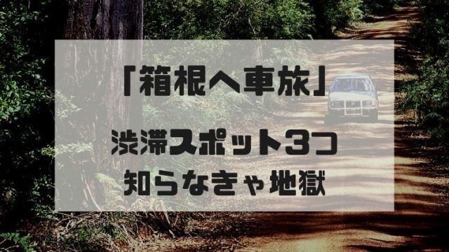 箱根への車旅行で渋滞回避方法