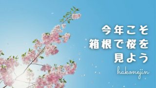 箱根で桜の名所3つ